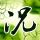 乡约